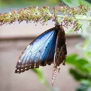 Meet your Posher, Tracey